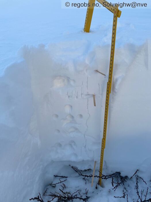 Image Of Snow Profile