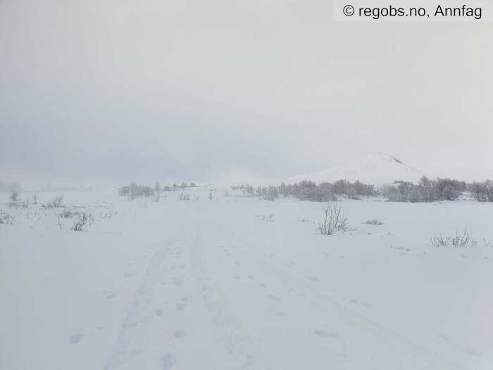 Image Of Snow Cover