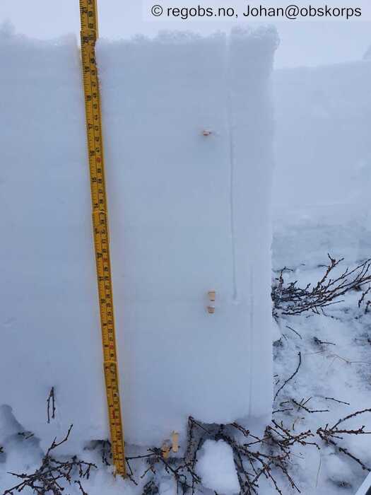 Image Of Snow Profile