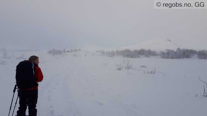 Image Of Snow Profile