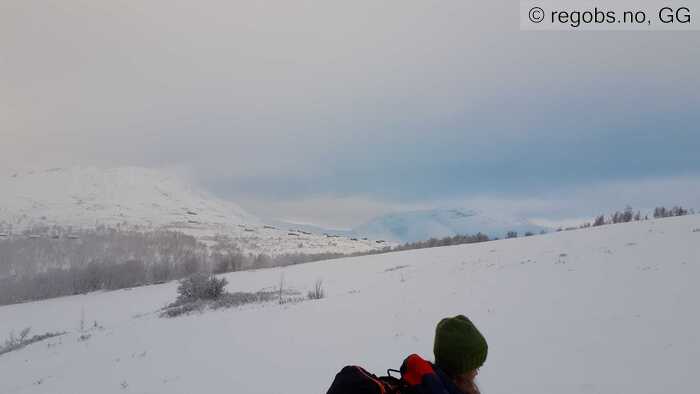 Image Of Snow Profile