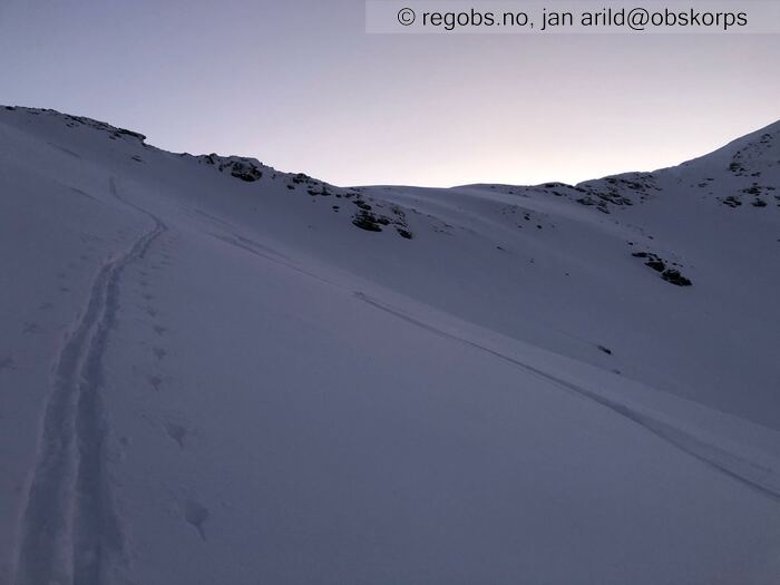 Bilde Av Snødekke