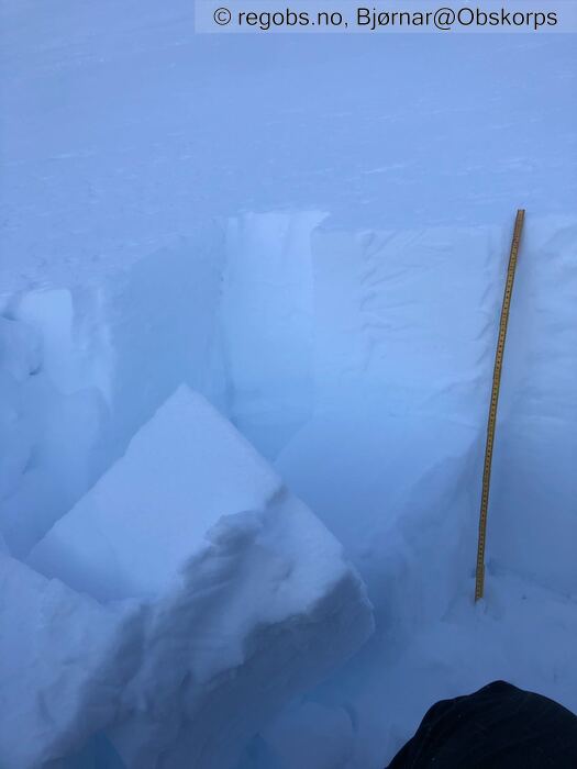 Image Of Snow Profile