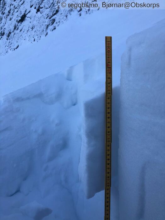 Image Of Snow Profile