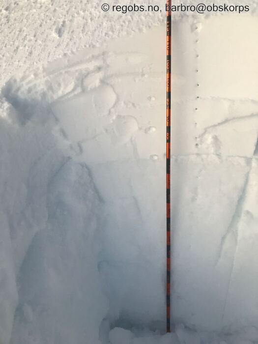 Image Of Snow Profile