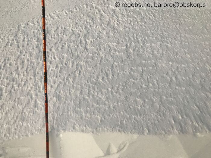 Image Of Snow Profile