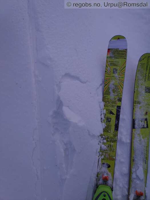 Image Of Avalanche Danger Assessment