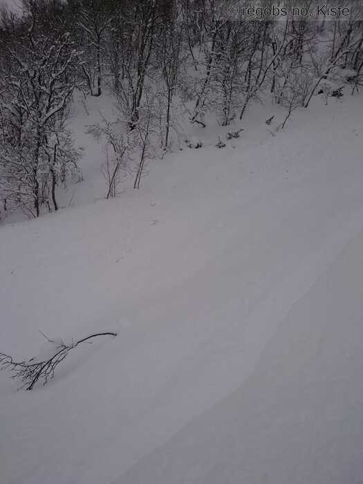 Image Of Avalanche Observation