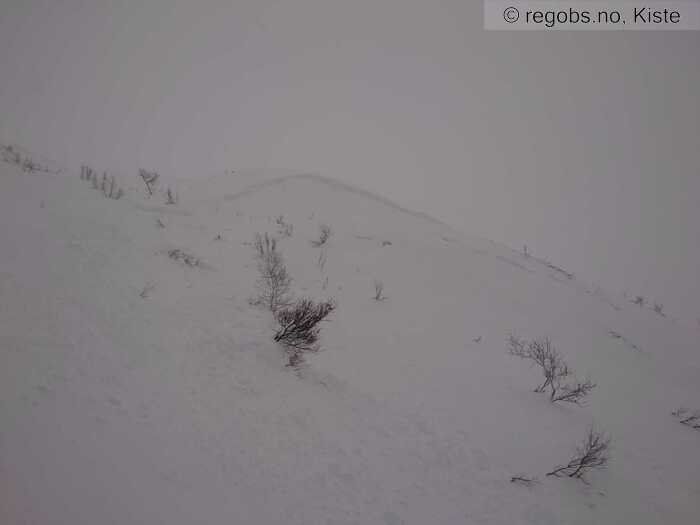 Image Of Avalanche Observation