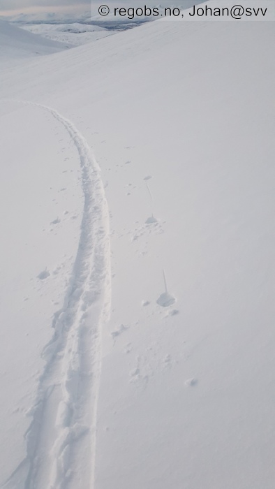 Image Of Snow Cover