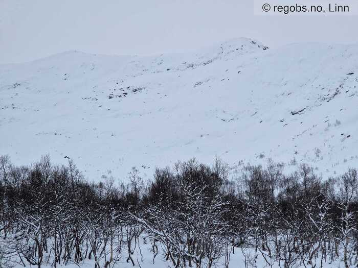 Image Of Snow Cover