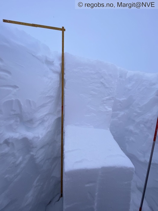 Image Of Snow Profile