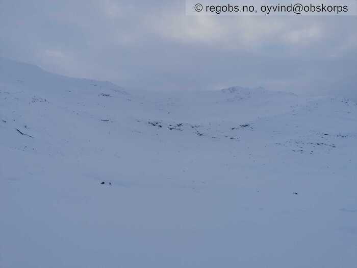 Image Of Avalanche Activity