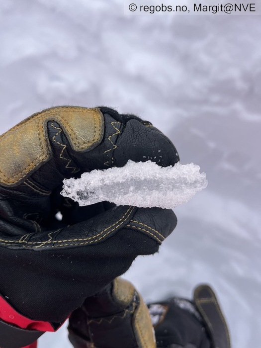 Image Of Snow Profile