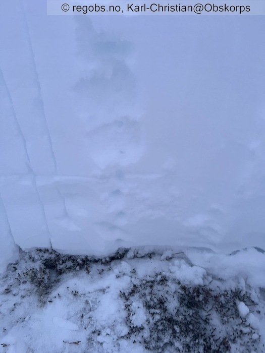 Image Of Snow Profile