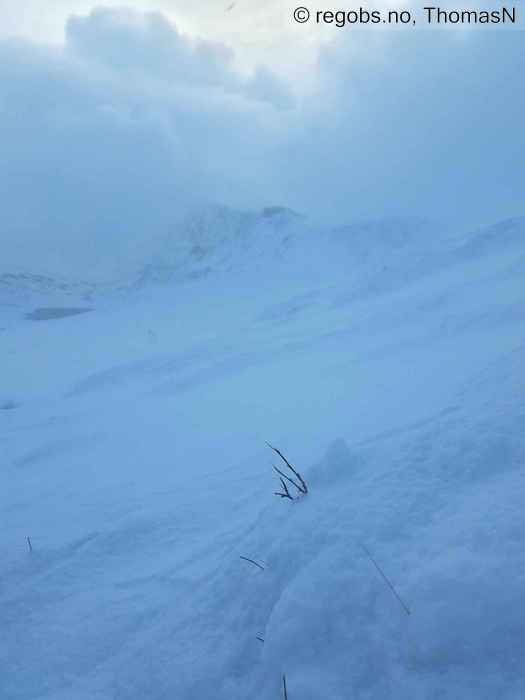 Image Of Avalanche Danger Assessment