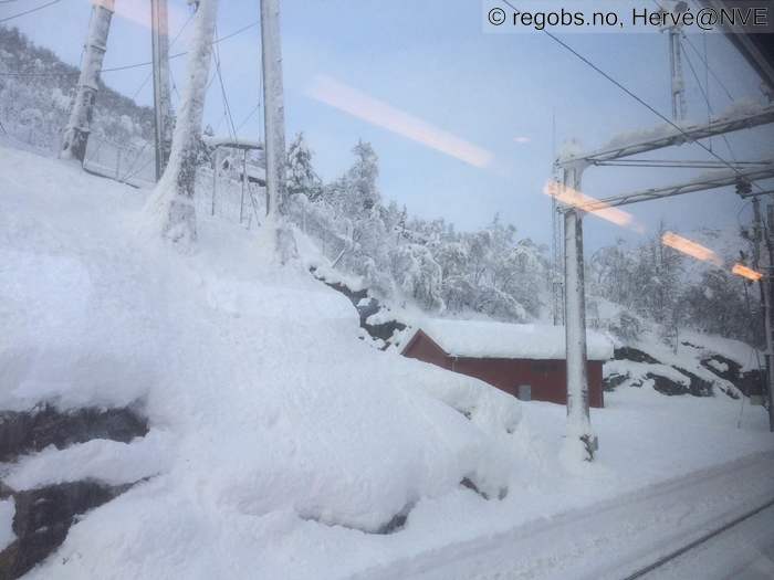 Bilde Av Snødekke