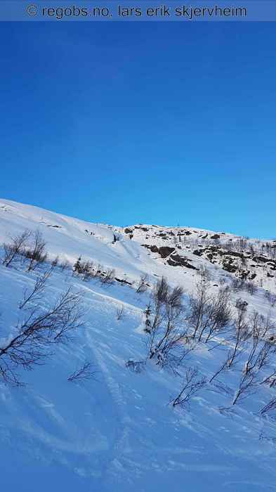 Image Of Avalanche Observation