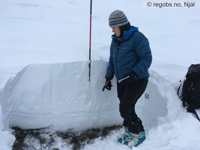 Image Of Snow Profile