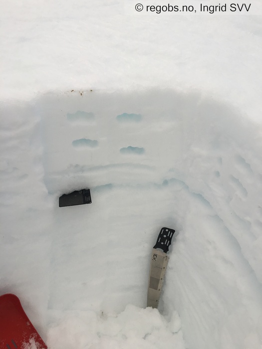 Image Of Snow Profile