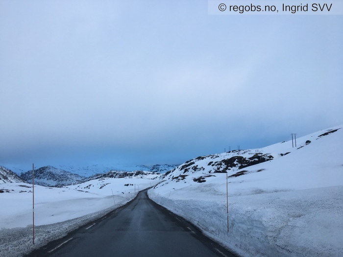 Bilde Av Snødekke