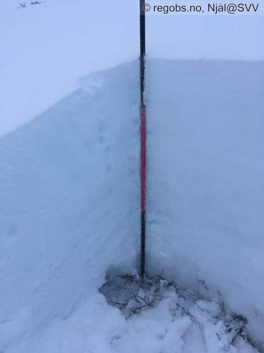 Image Of Snow Profile