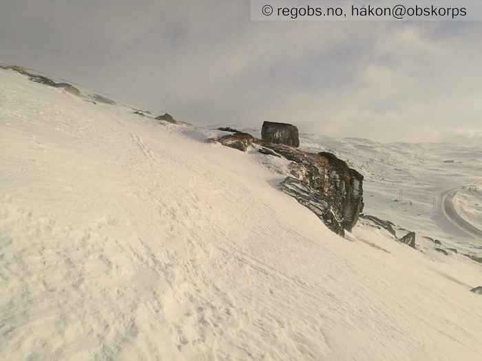 Image Of Snow Cover