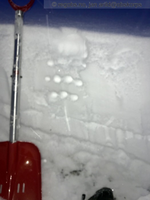 Image Of Snow Profile