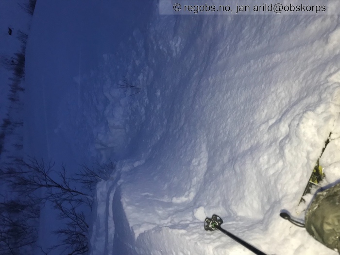 Image Of Avalanche Danger Assessment