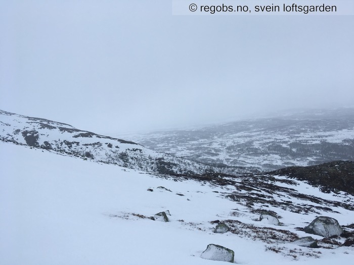 Bilde Av Snødekke