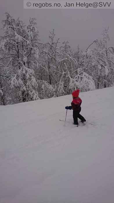 Image Of Snow Cover