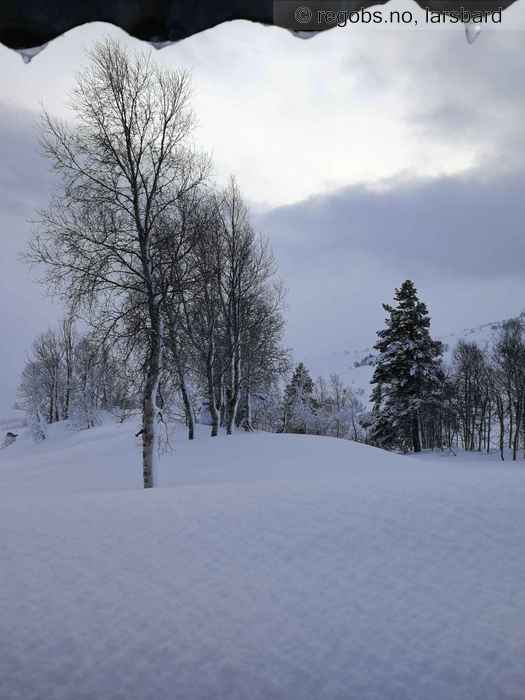 Bilde Av Snødekke