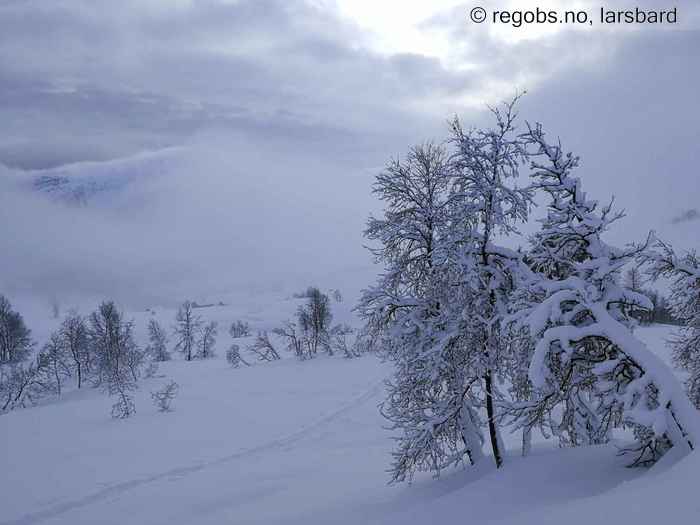 Image Of Snow Cover