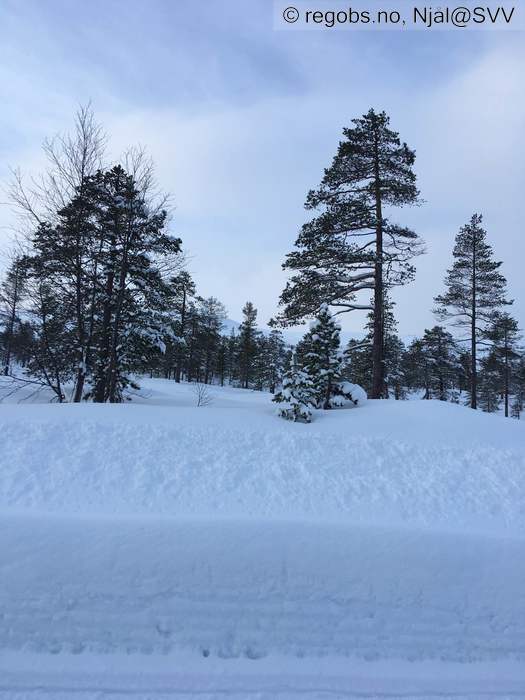 Bilde Av Vær