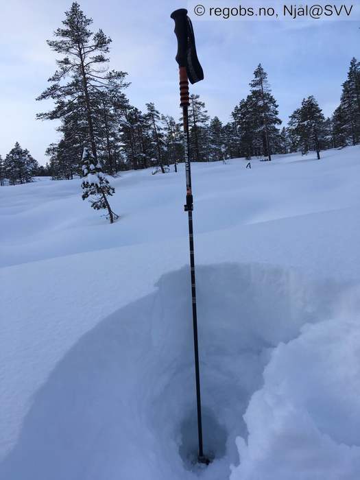 Image Of Snow Profile