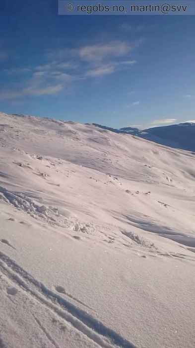 Bilde Av Snødekke