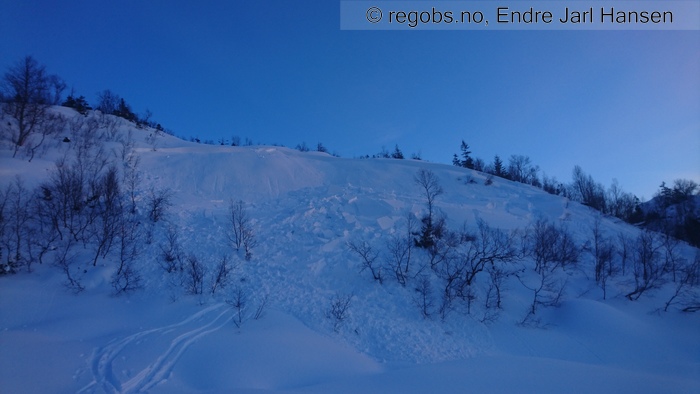 Image Of Avalanche Observation