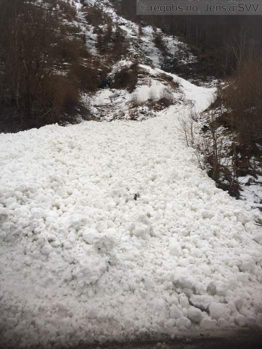 Image Of Avalanche Observation