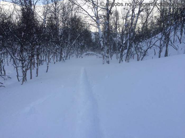 Image Of Avalanche Danger Assessment