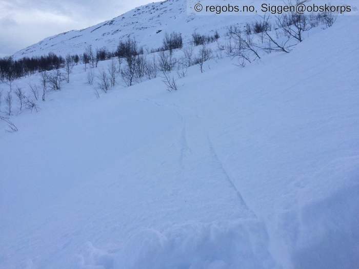 Image Of Avalanche Danger Assessment