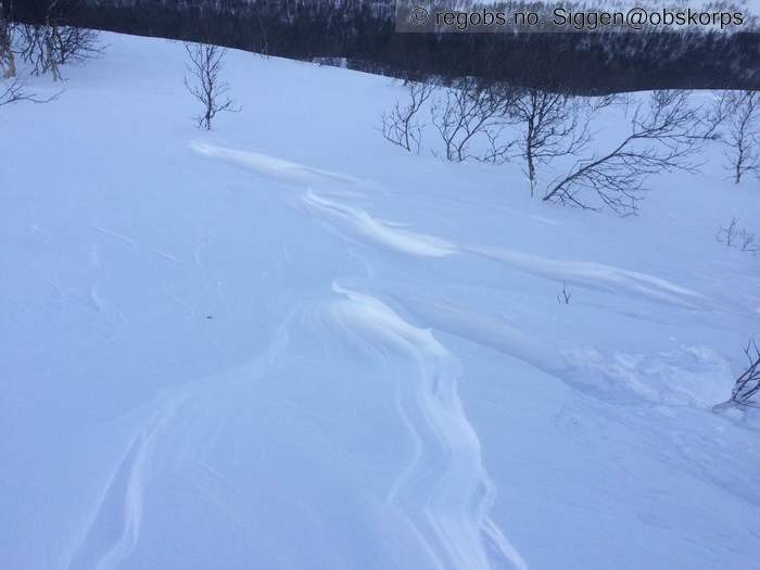 Image Of Avalanche Danger Assessment