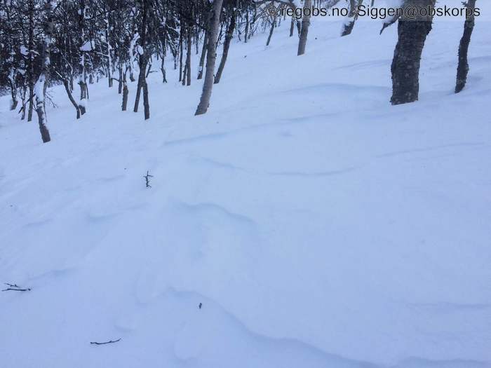 Image Of Avalanche Danger Assessment