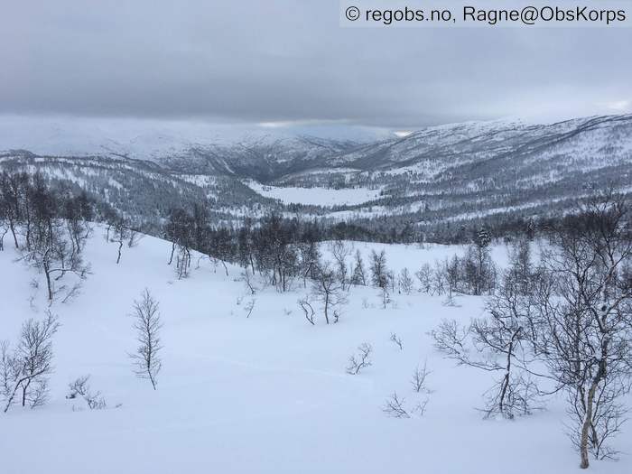 Bilde Av Snødekke