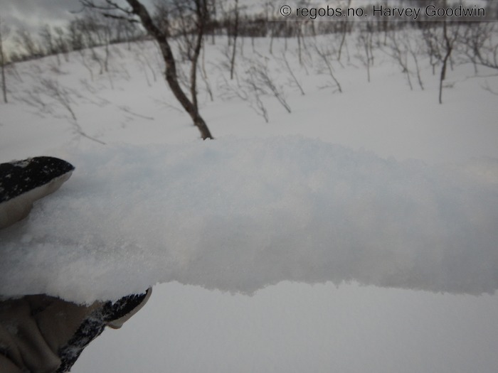 Image Of Snow Cover