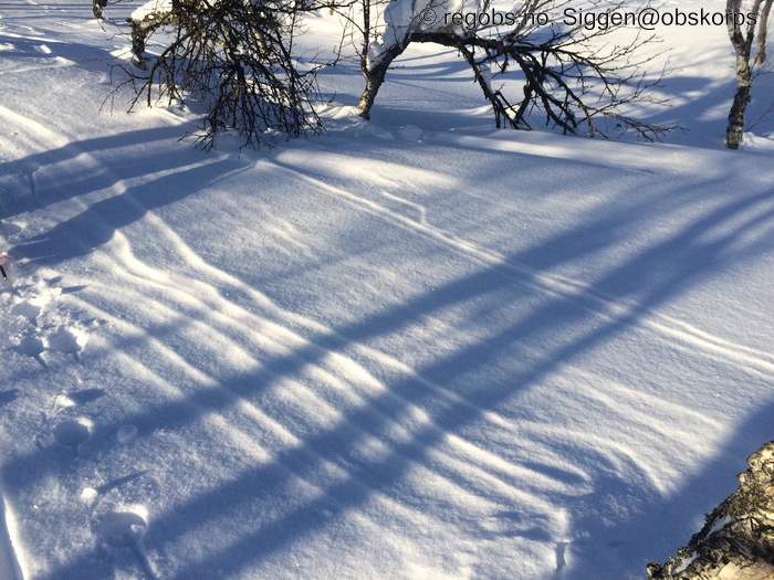 Bilde Av Snødekke