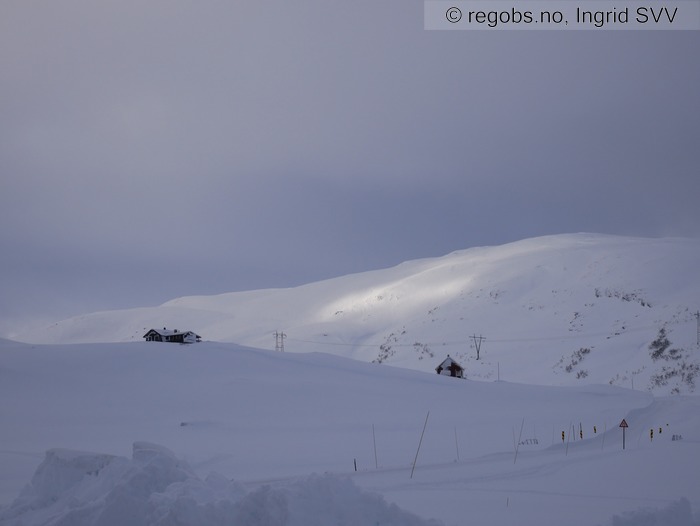 Image Of Snow Cover