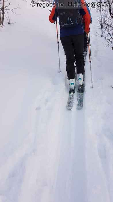 Image Of Snow Cover