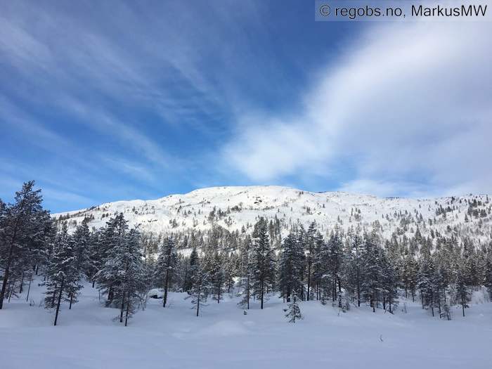 Image Of Avalanche Observation