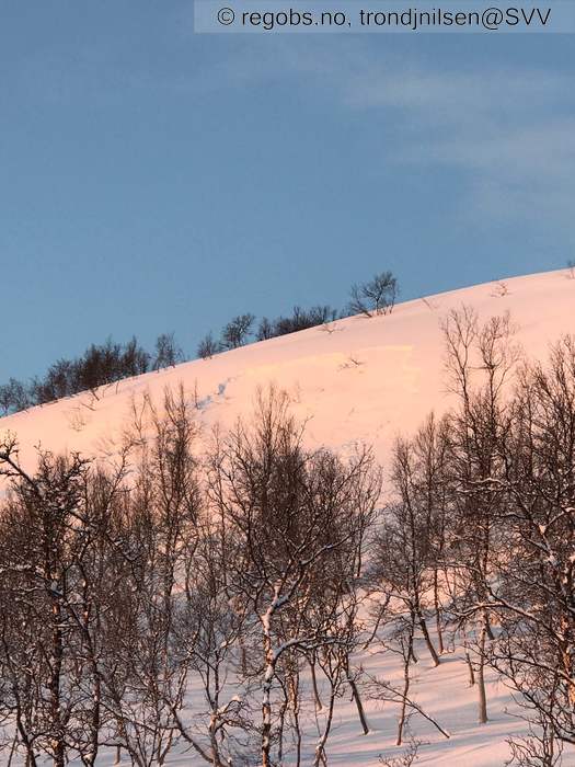 Image Of Avalanche Observation