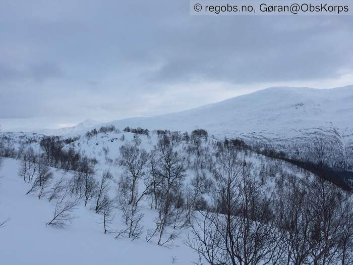 Bilde Av Snødekke